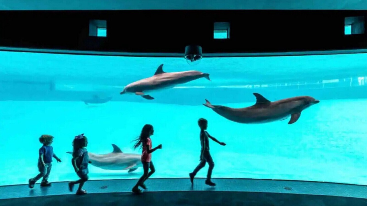 Photo of Outdoor in Northwest Corpus Christi