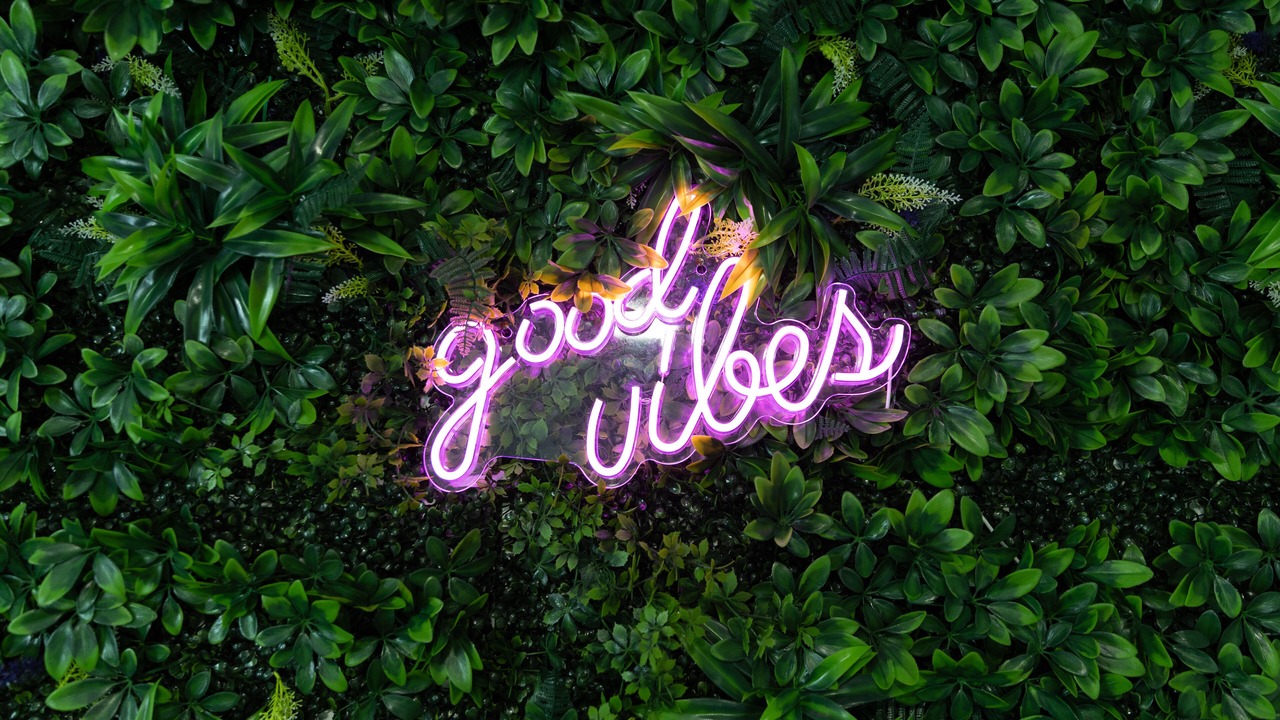 Photo of Outdoor in North and East