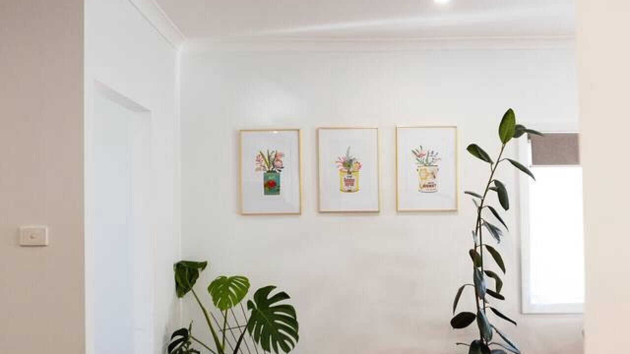 Photo of Others in Shepparton South