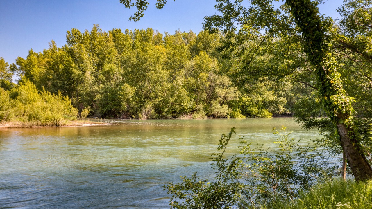 Photo of Others in Aspiran