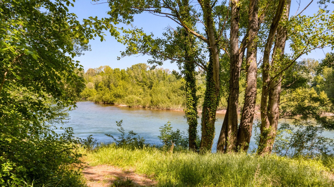 Photo of Others in Aspiran