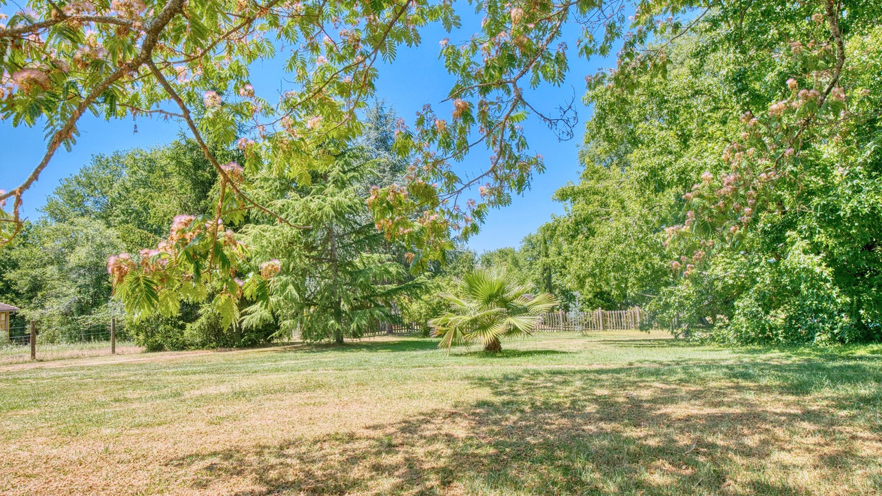 Photo of Outdoor in Monsac