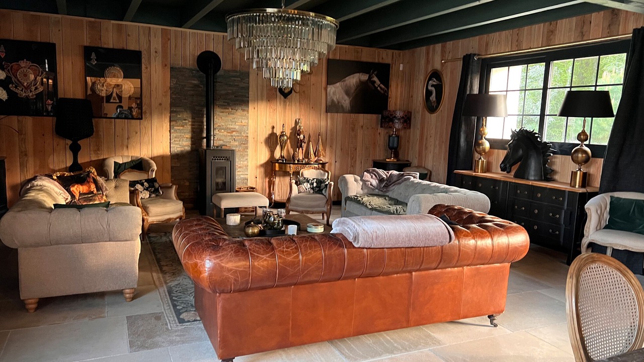 Photo of Livingroom in Luynes