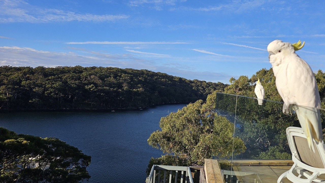 Photo of Others in Gymea Bay