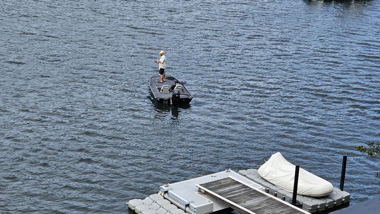 Photo of Others in Gymea Bay