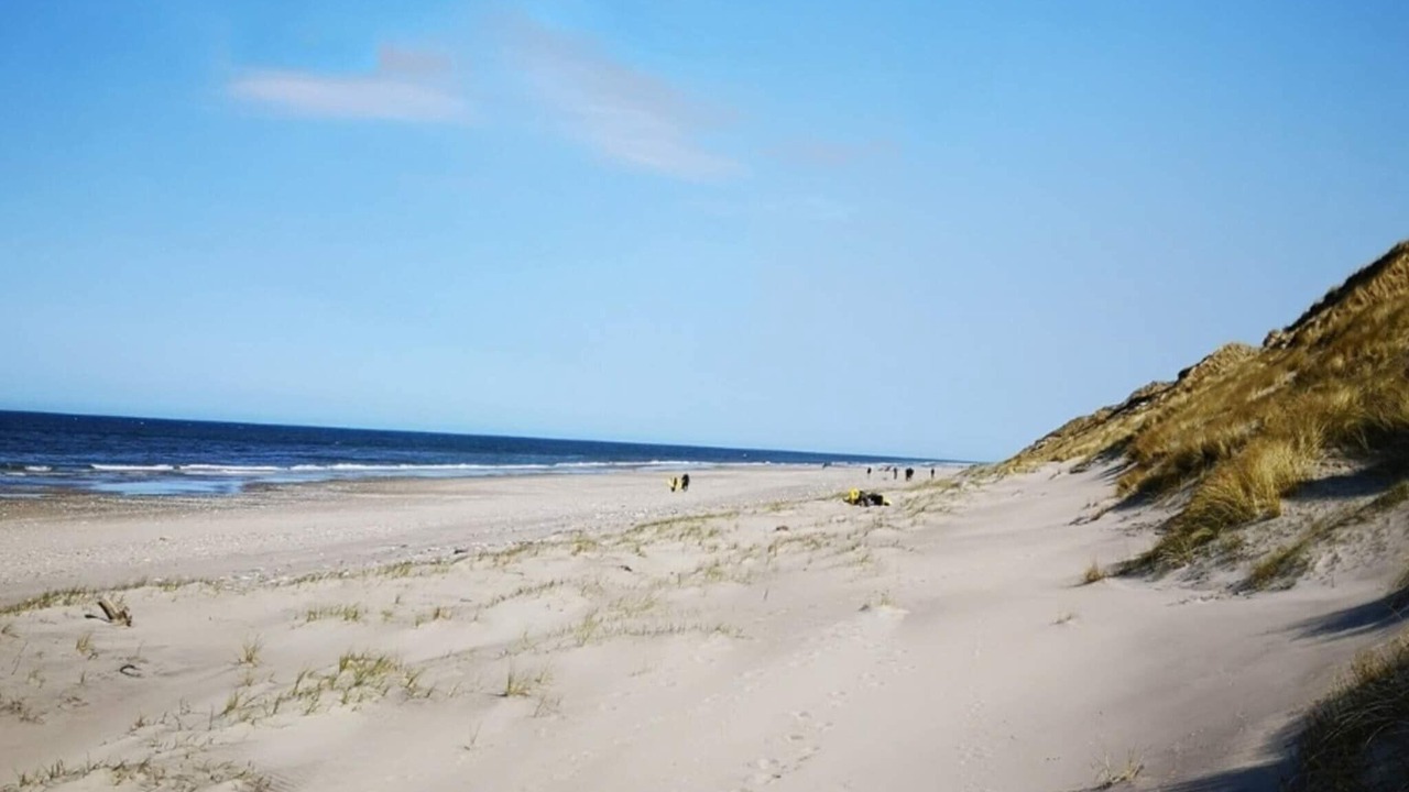 Photo of Others in Lokken