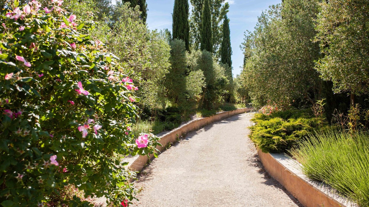 Photo of Others in Pertuis