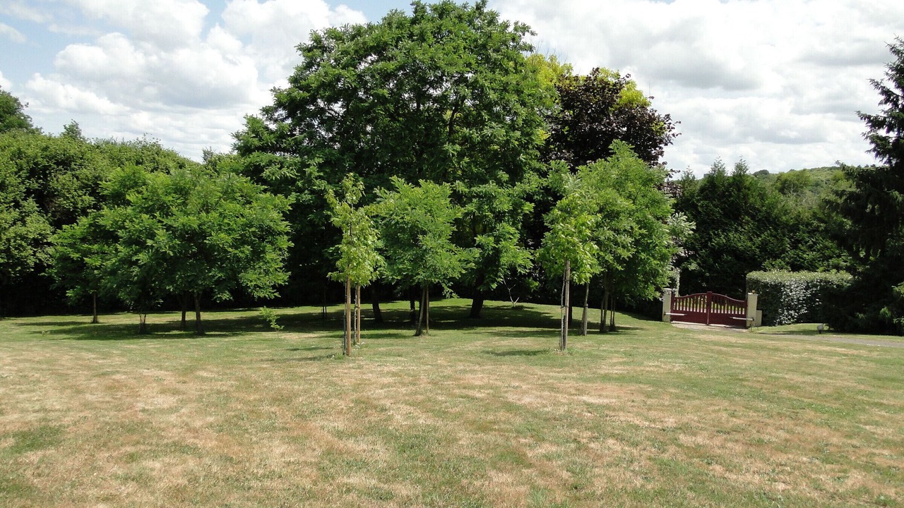 Photo of Outdoor in Segre-en-Anjou-Bleu