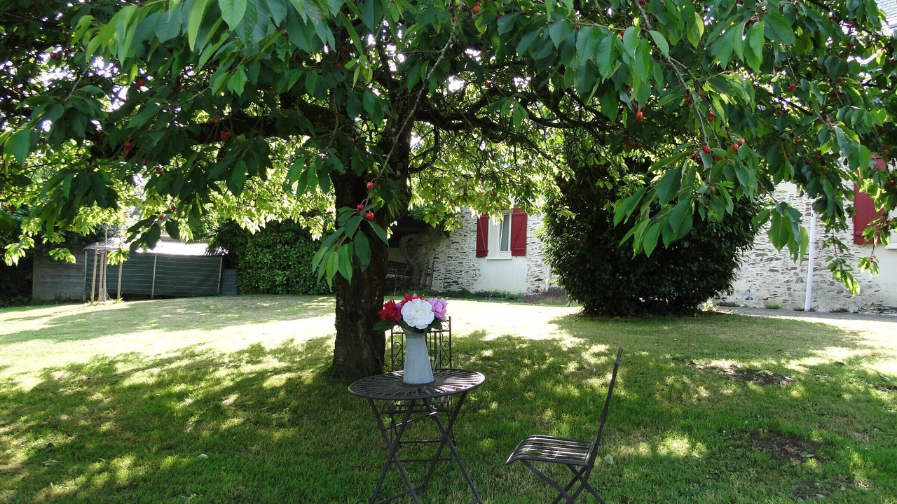 Photo of Outdoor in Segre-en-Anjou-Bleu