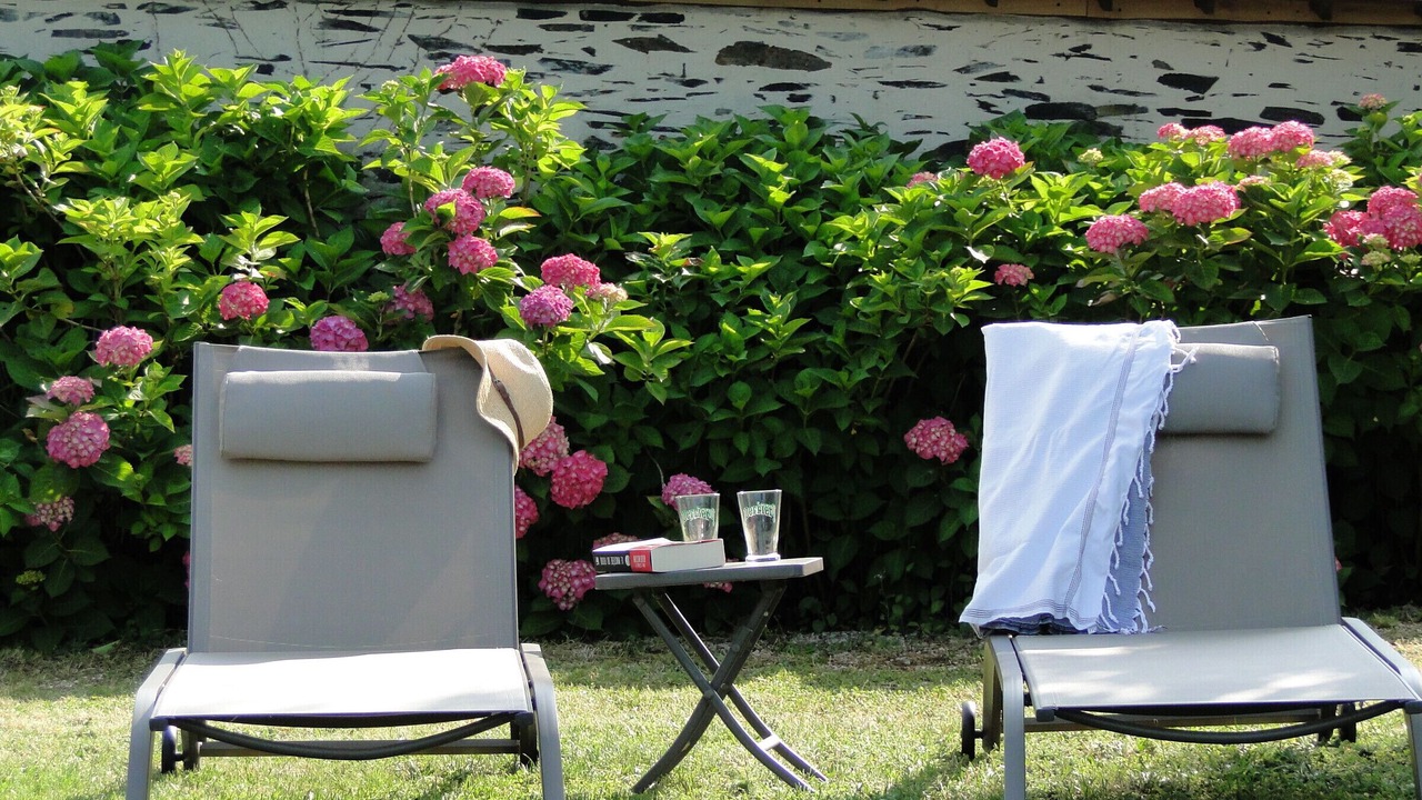 Photo of Outdoor in Segre-en-Anjou-Bleu