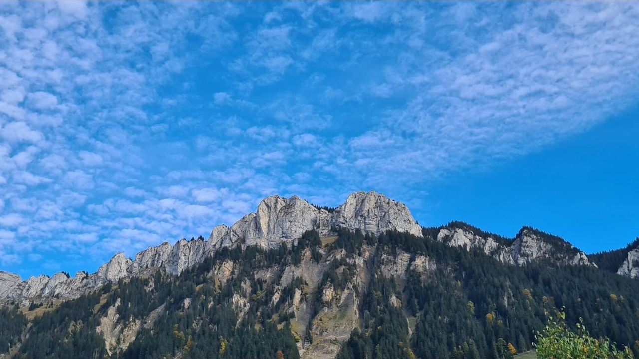 Photo of Others in Fluehli