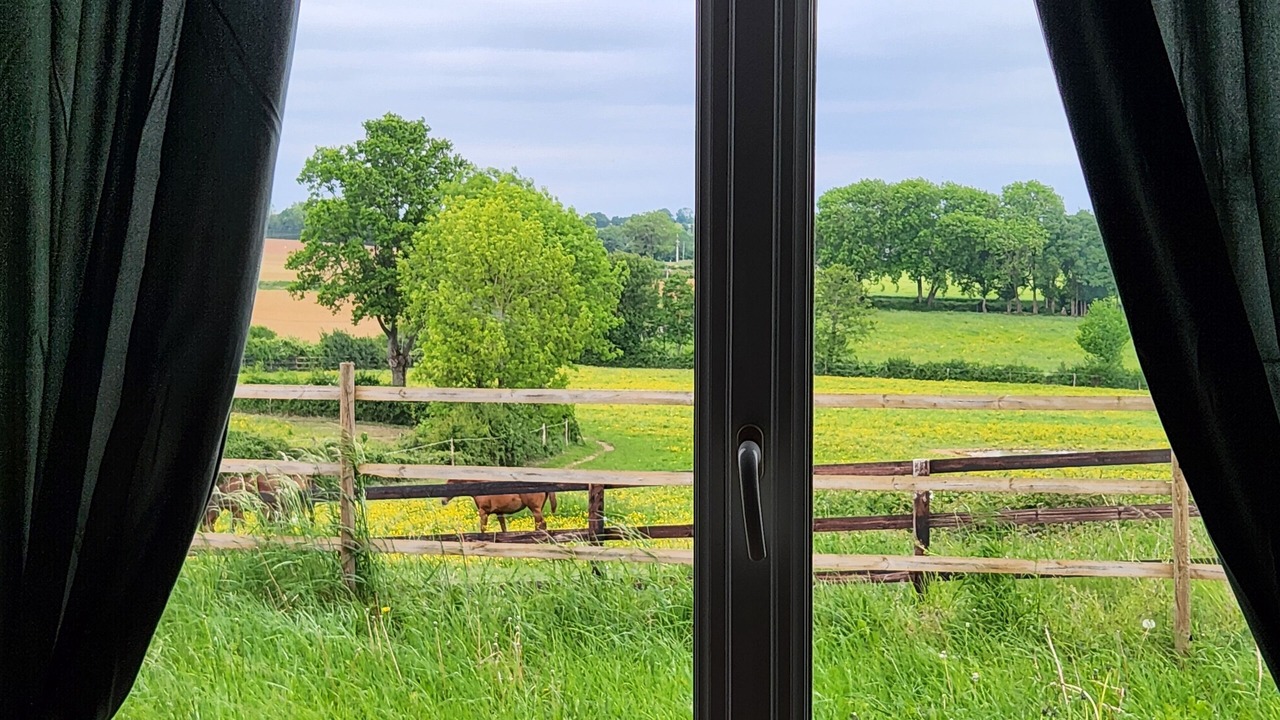 Photo of Others in Saint-Aubin-de-Locquenay