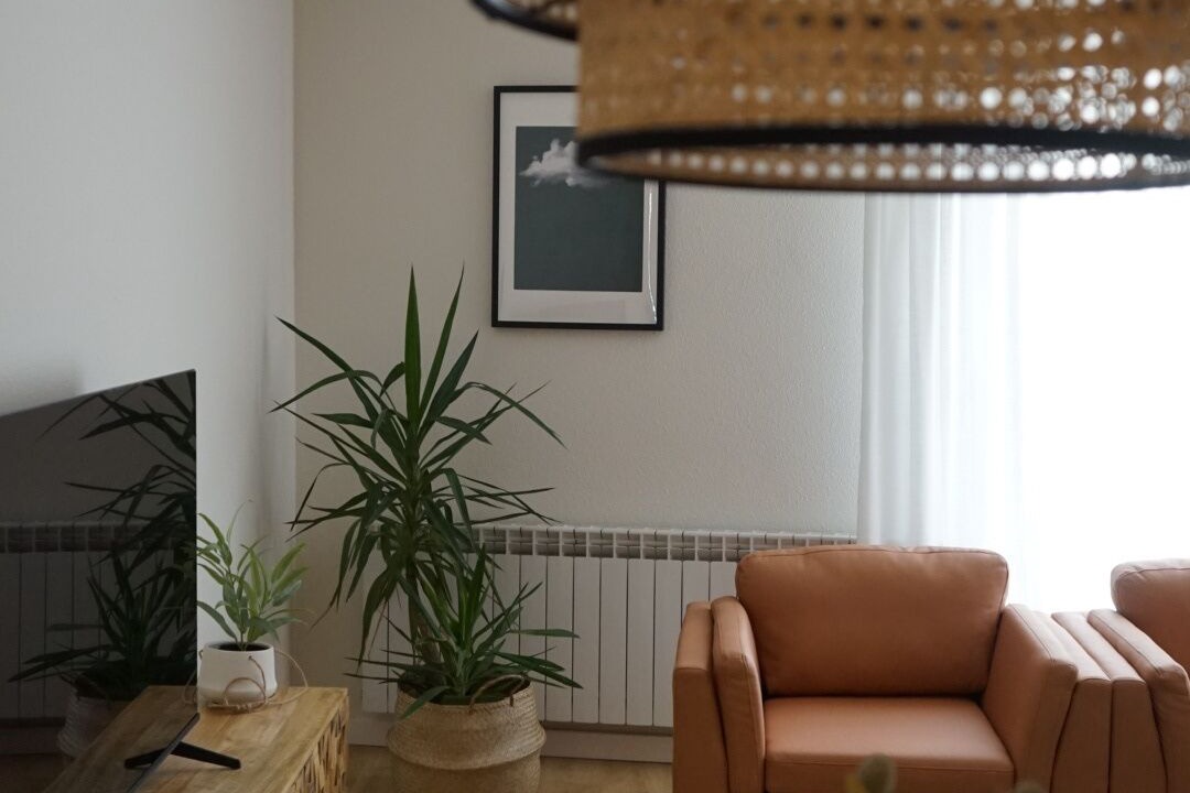 Photo of Livingroom in San Pablo