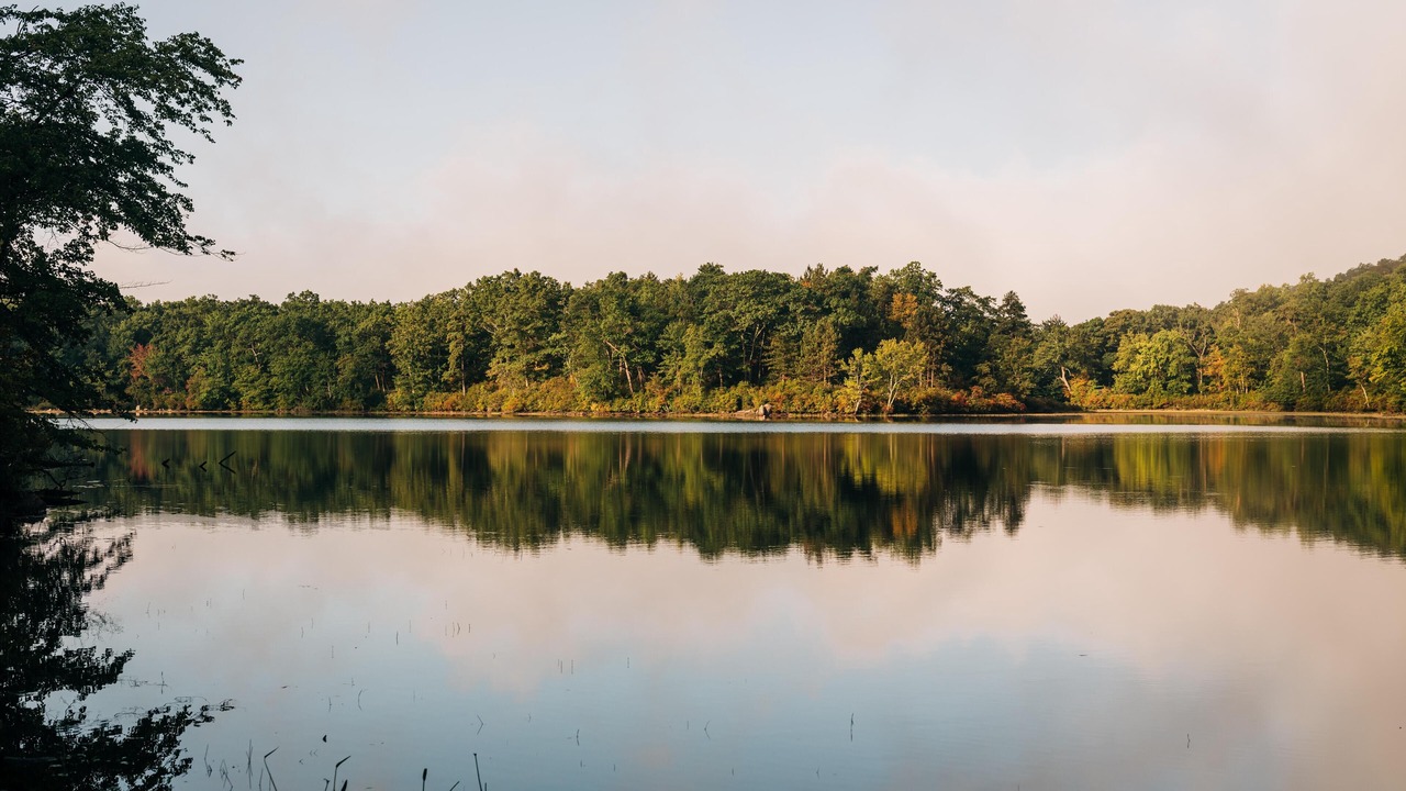 Photo of Others in Columbia