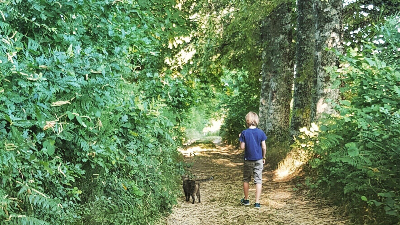 Photo of Others in Moustier-Ventadour