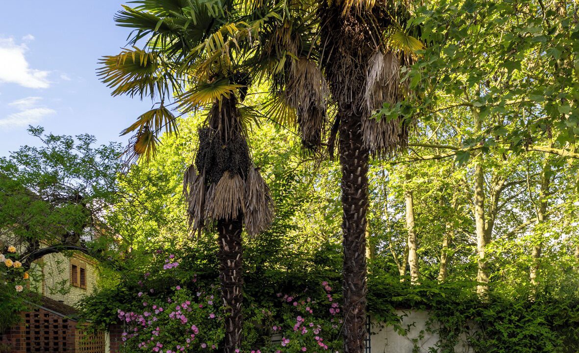 Photo of Outdoor in Corbeilles
