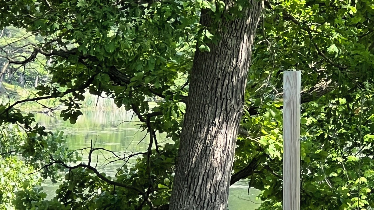 Photo of Others in Amery