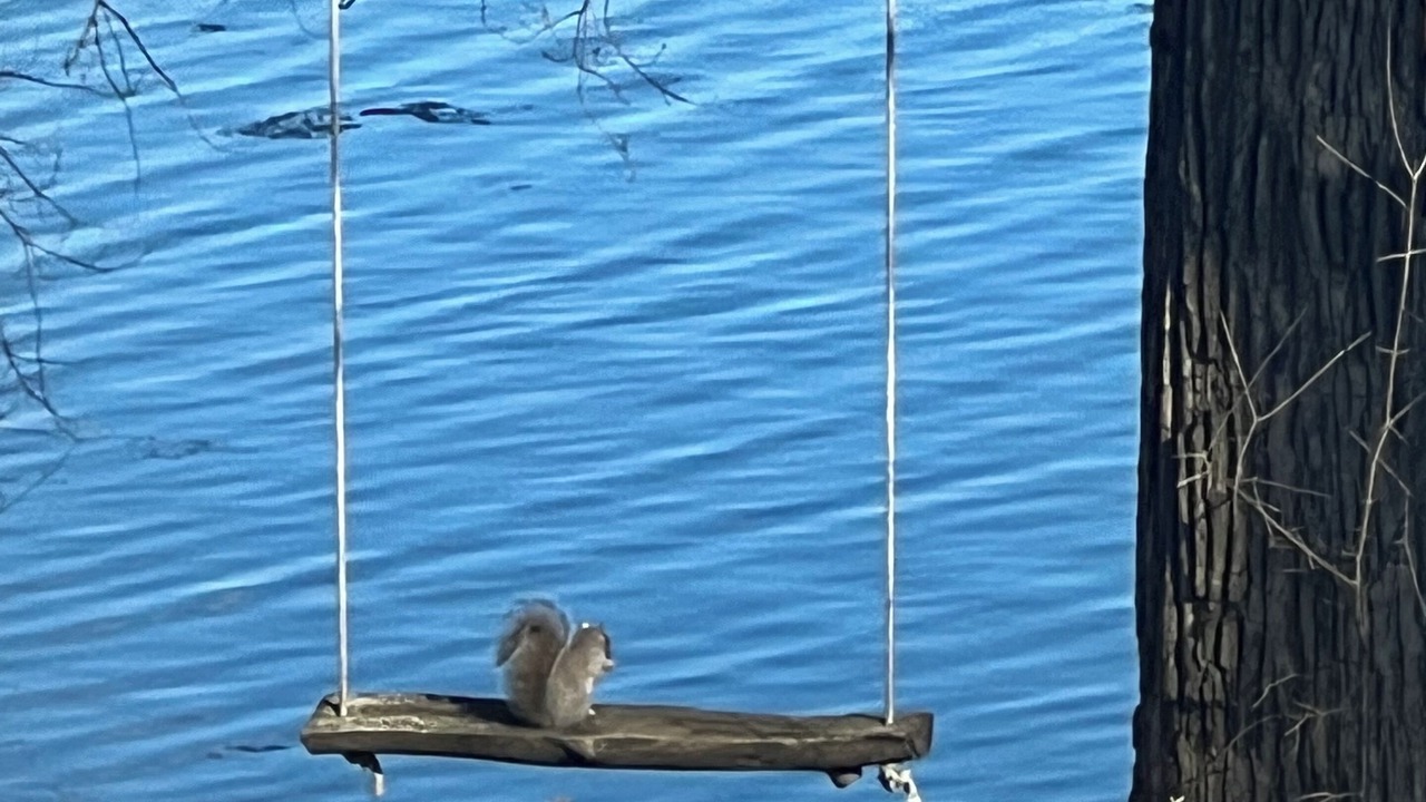 Photo of Others in Amery