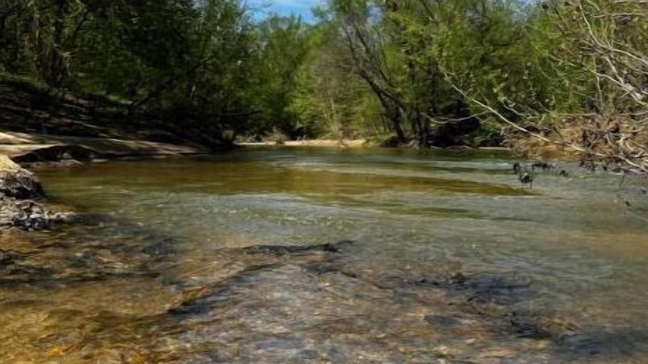 Photo of Others in Stanton