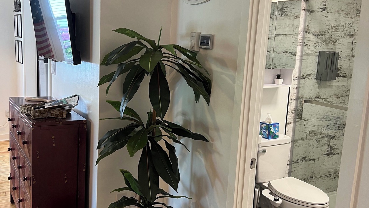 Photo of Others in Hamilton