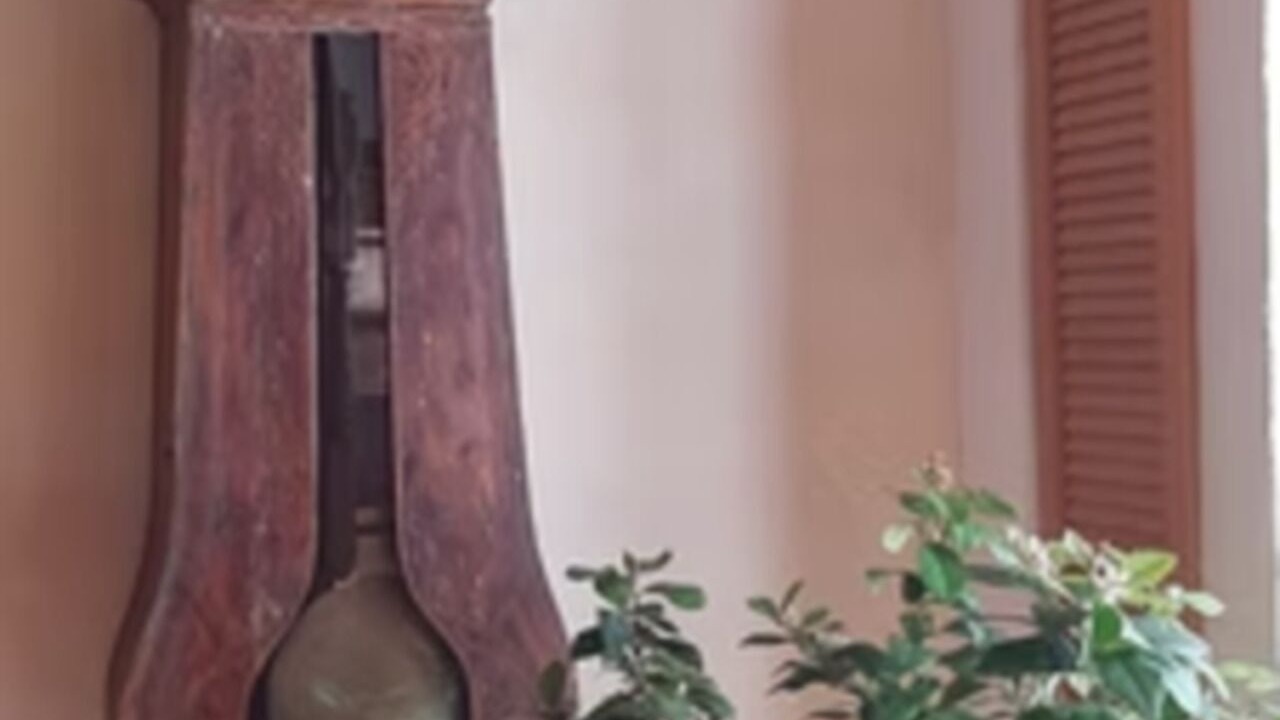 Photo of Others in Saverdun