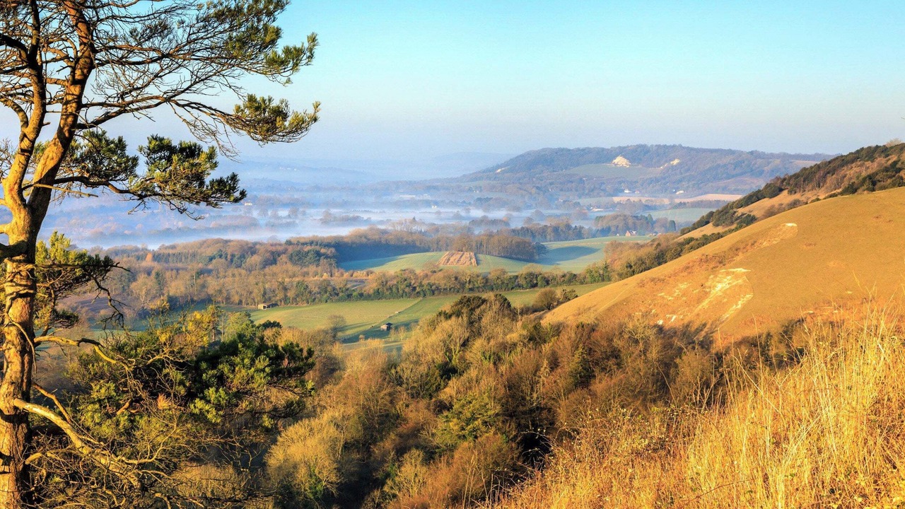 Photo of Others in Reigate