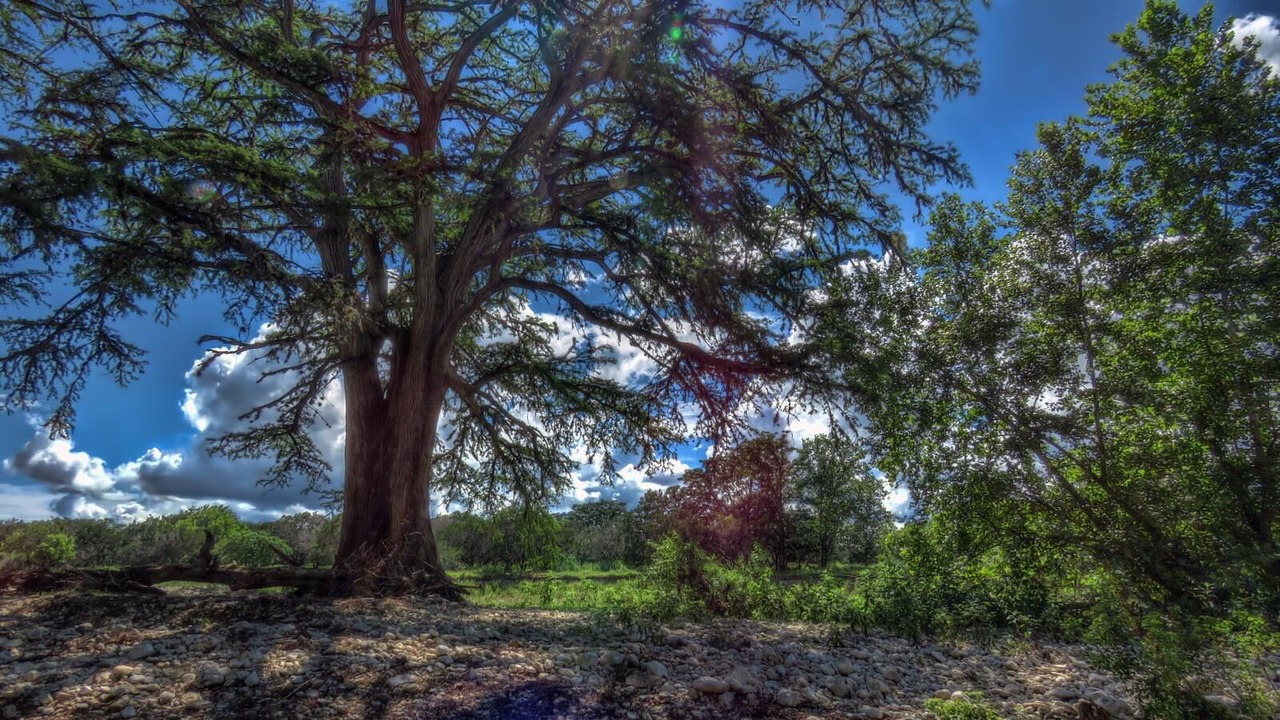 Photo of Others in Leakey