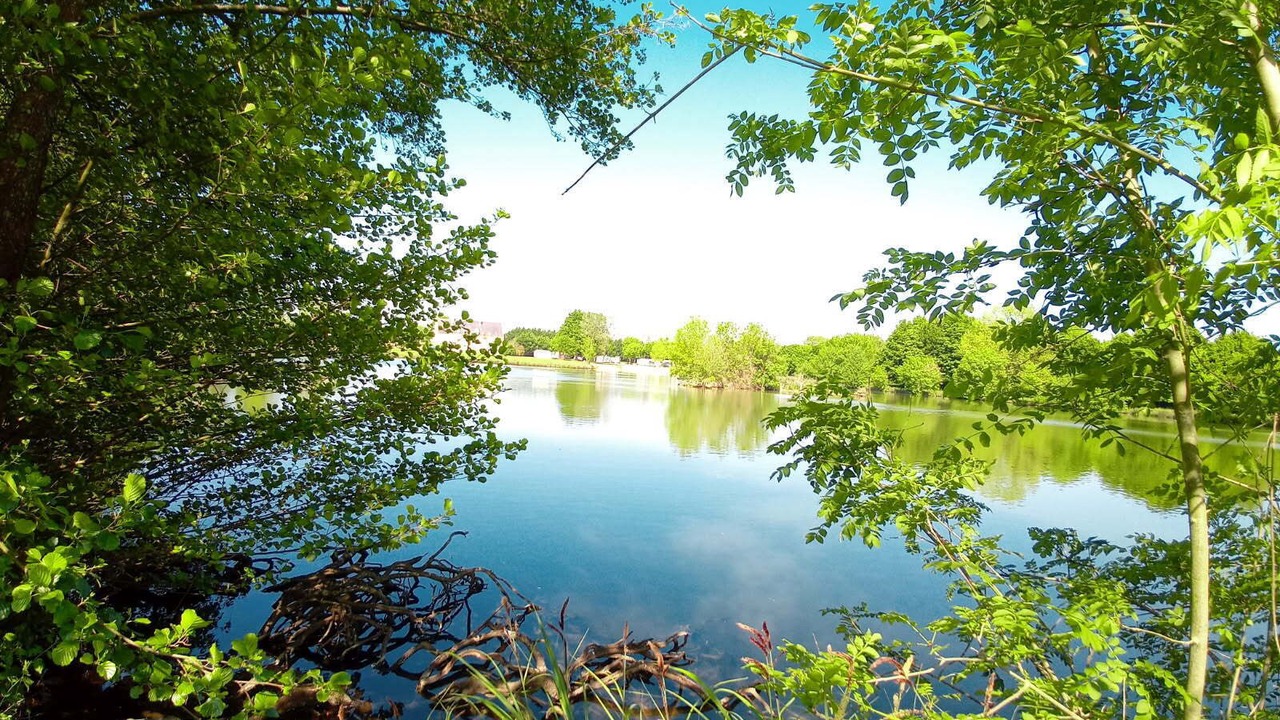 Photo of Others in Souvigne