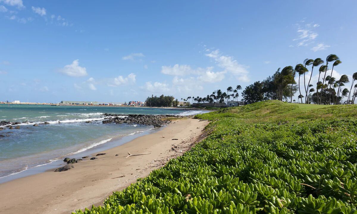 Photo of Outdoor in Kahului