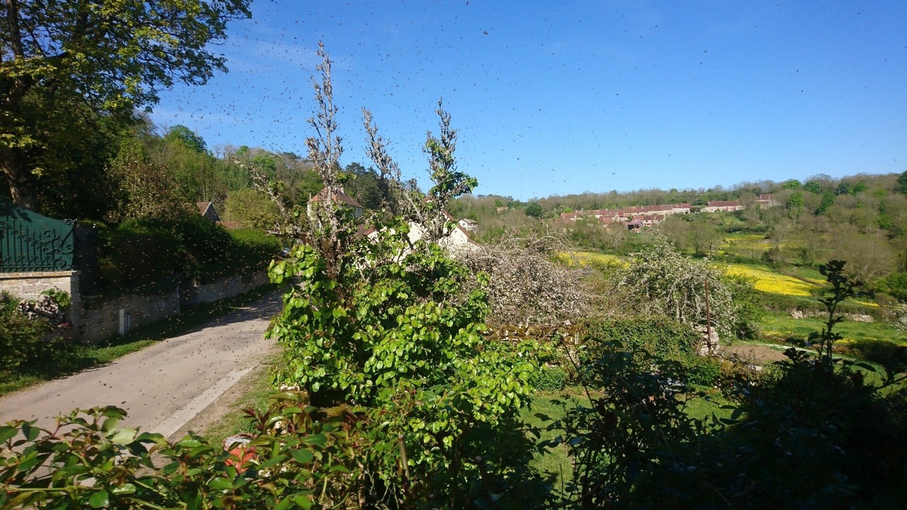 Photo of Outdoor in Mont-Saint-Jean