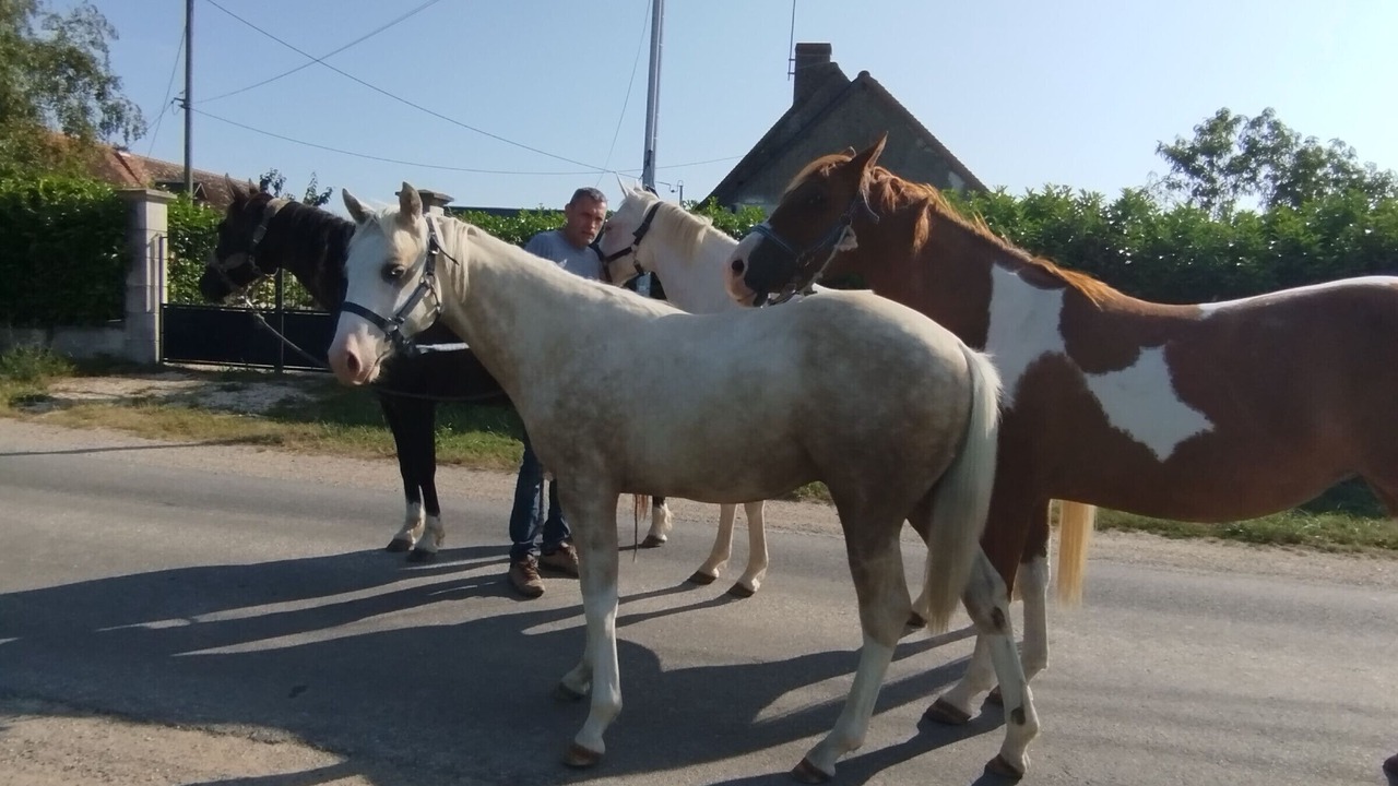 Photo of Others in Paulnay