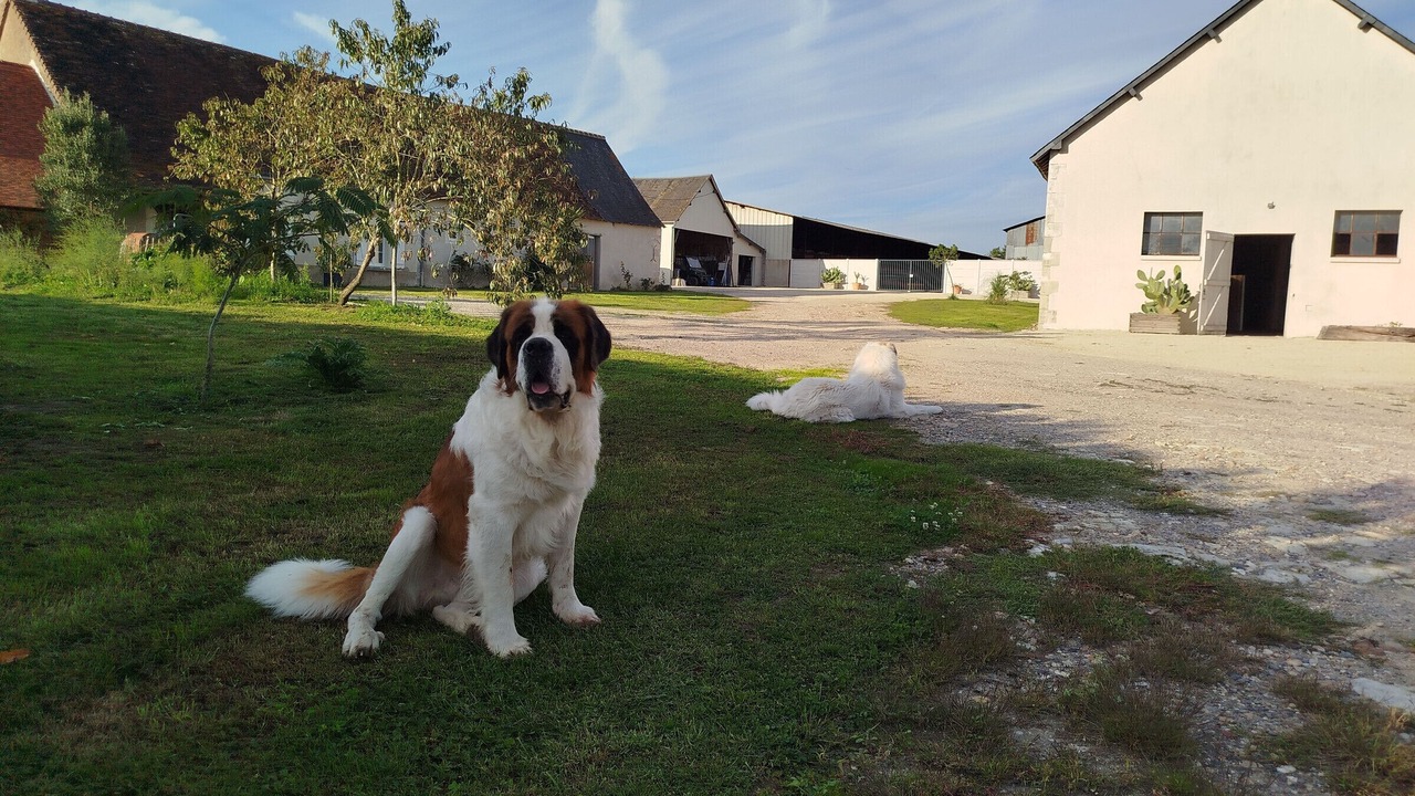Photo of Outdoor in Paulnay