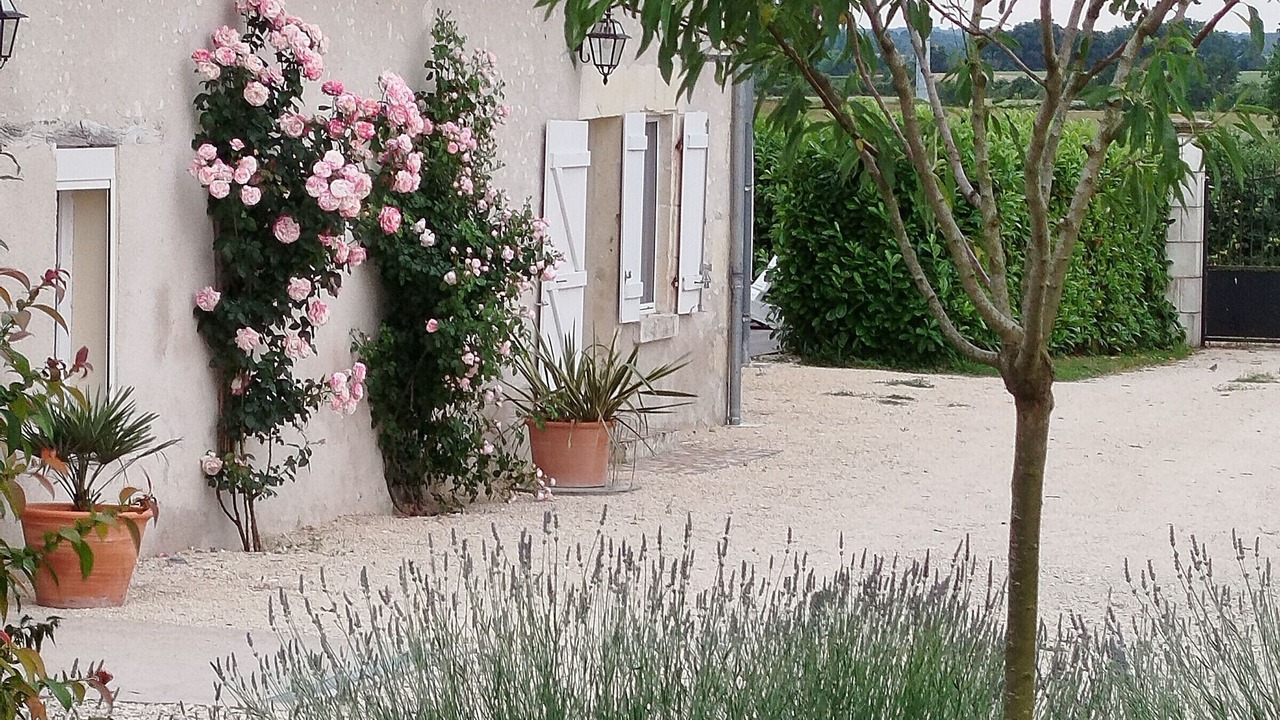 Photo of Outdoor in Paulnay