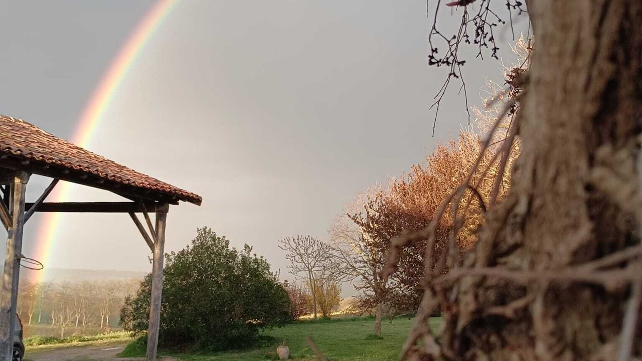 Photo of Others in Lezat-sur-Leze