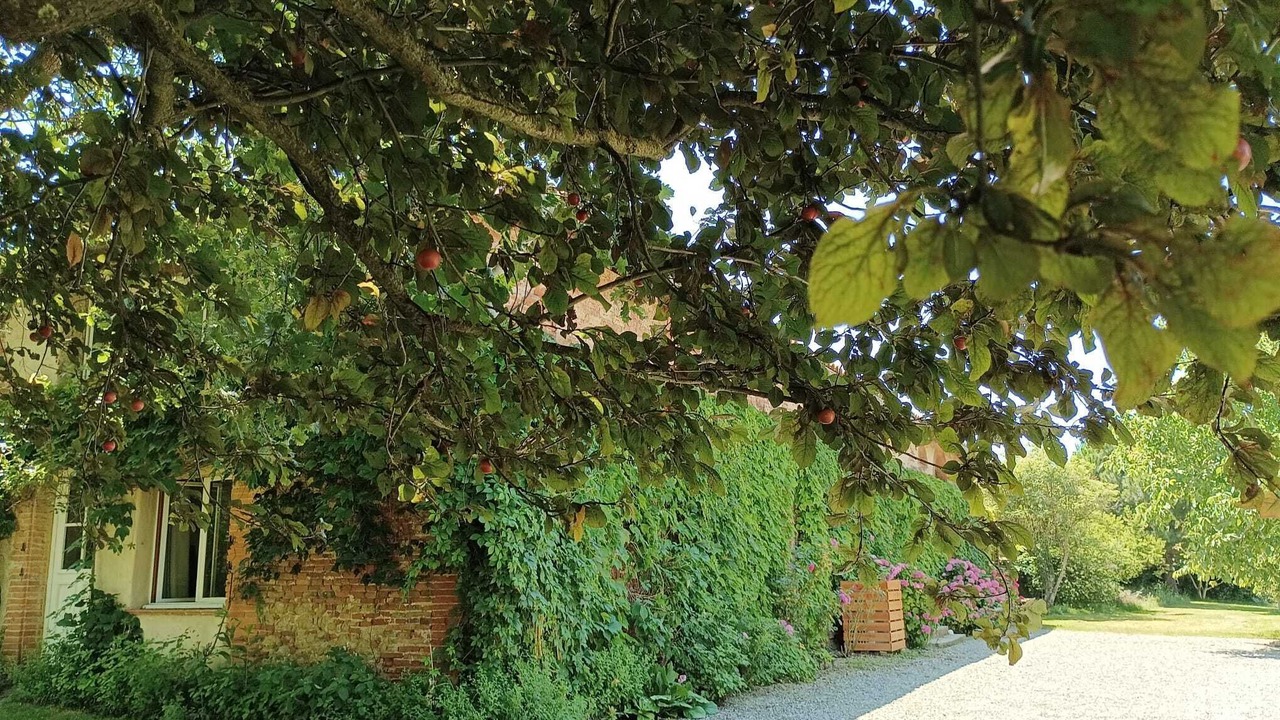 Photo of Outdoor in Lezat-sur-Leze