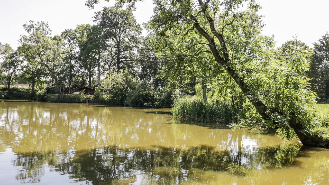 Photo of Others in Shrewley