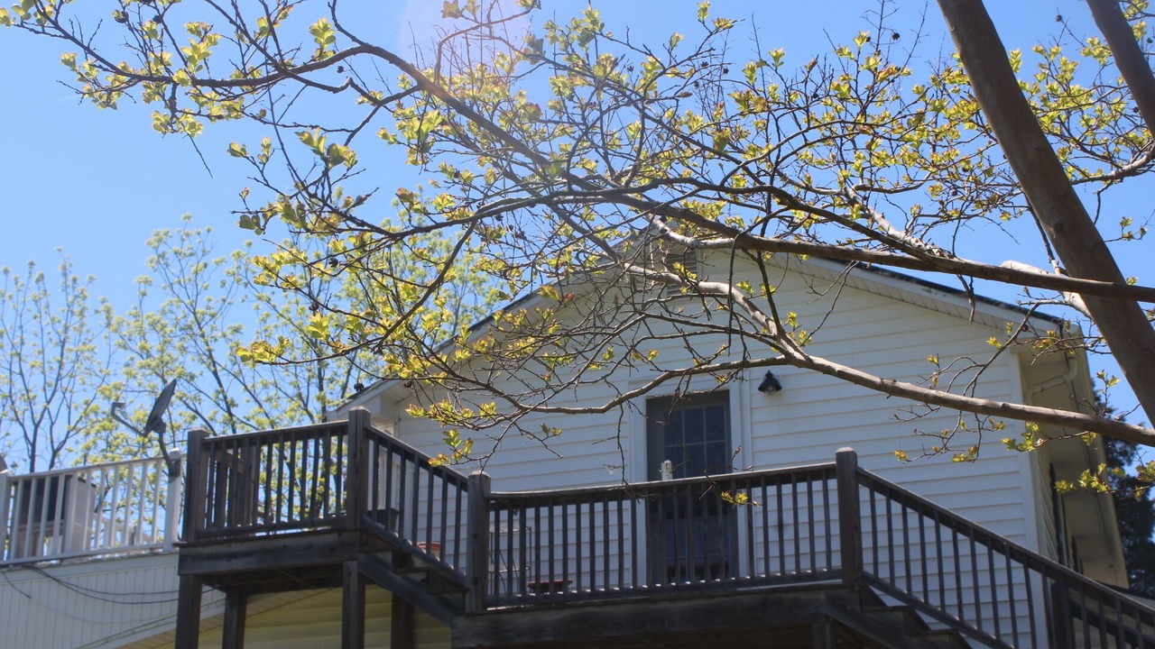 Photo of Outdoor in Sutherlin