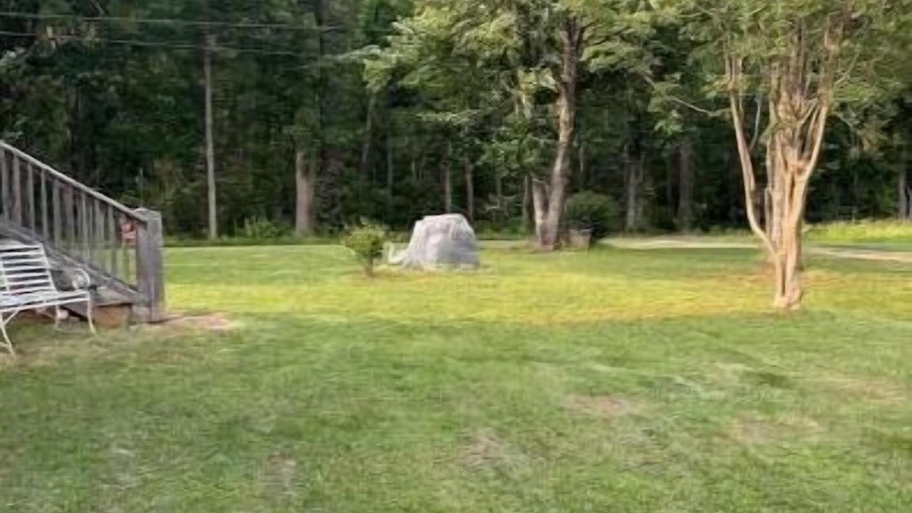 Photo of Outdoor in Sutherlin