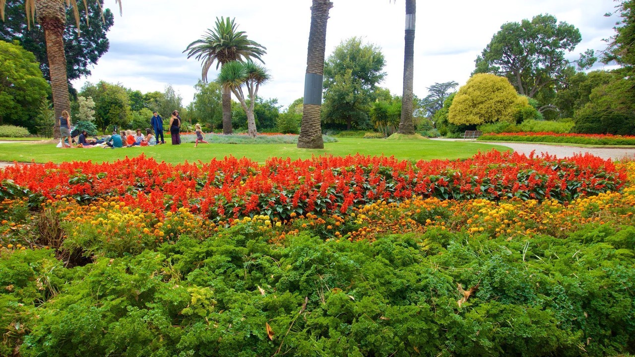 Photo of Others in Elwood