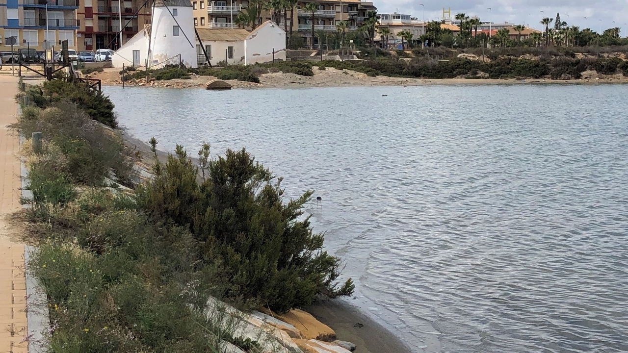 Photo of Others in Los Cuarteros