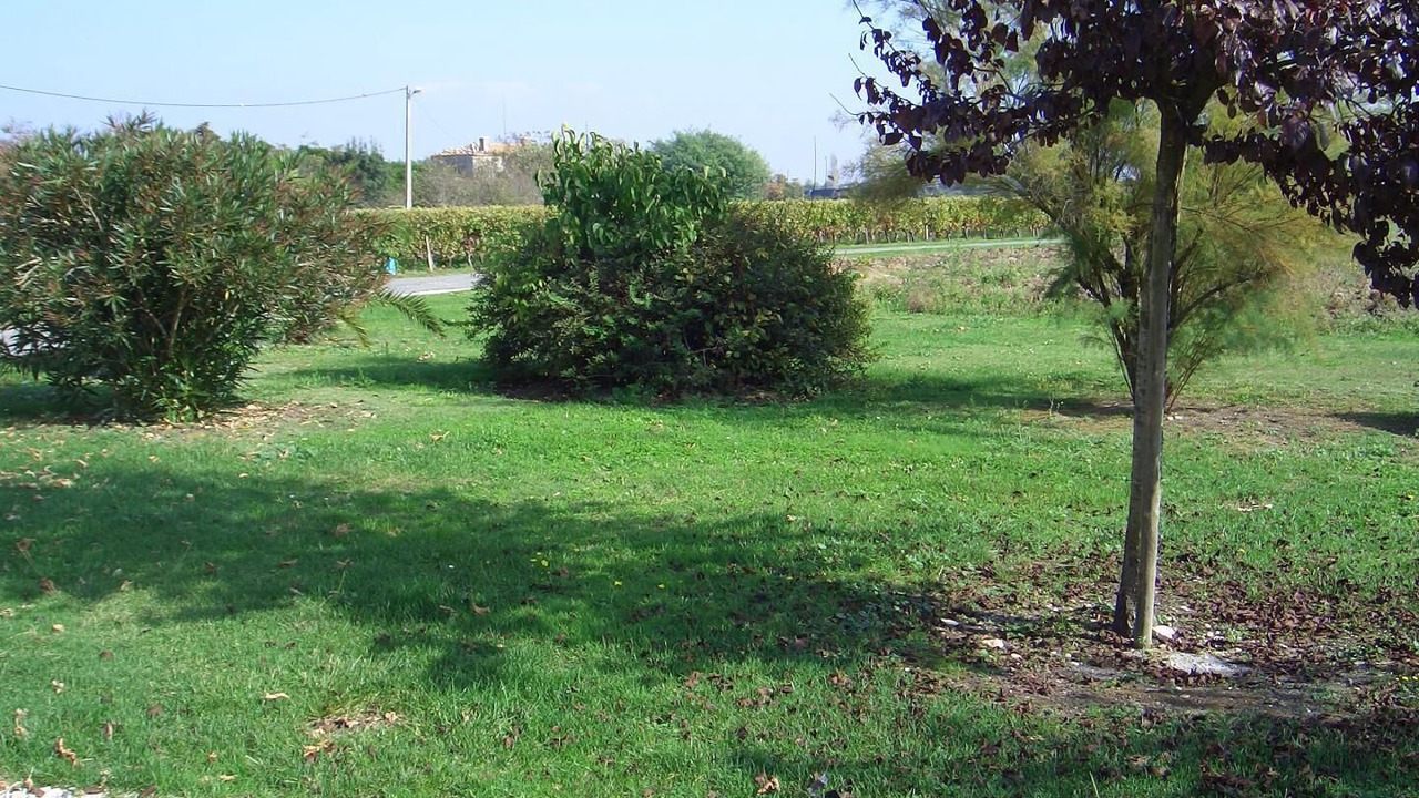 Photo of Others in Begadan