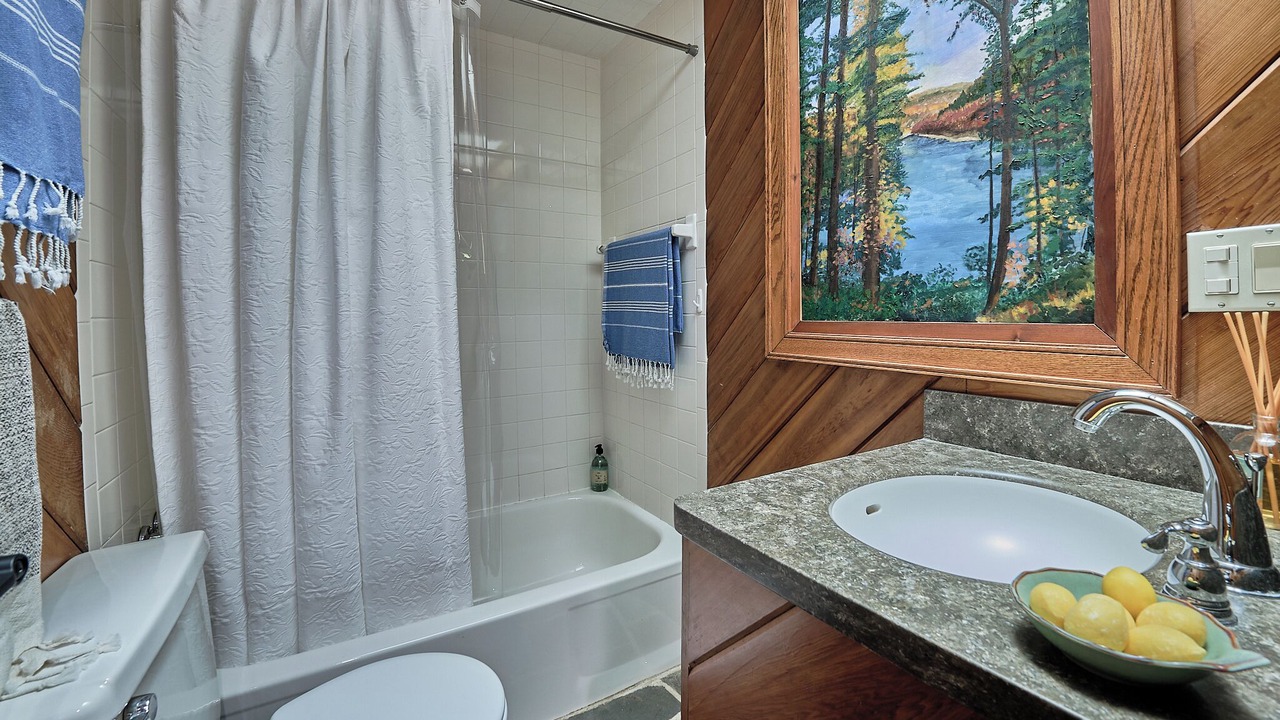 Photo of Bathroom in Shohola