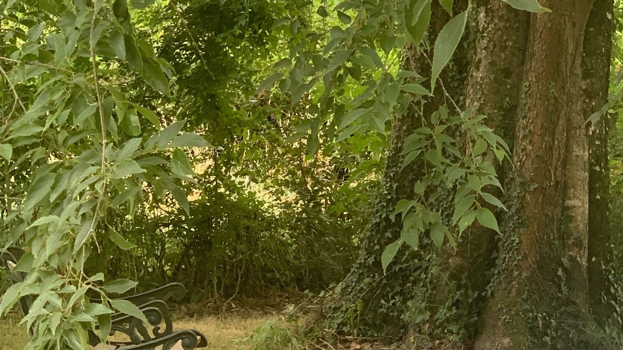 Photo of Outdoor in Albi