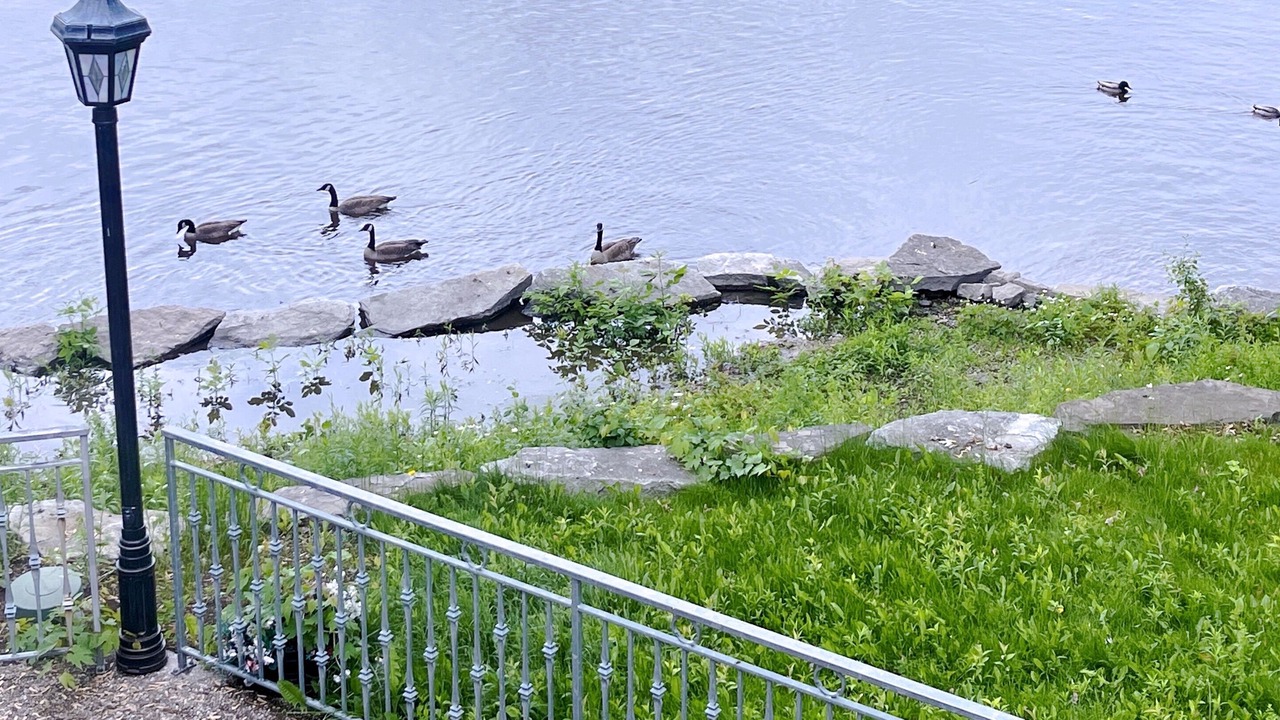 Photo of Others in Sainte-Dorothee