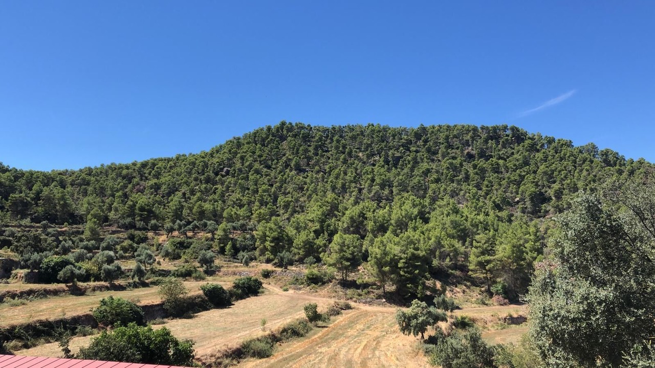 Photo of Others in Valderrobres