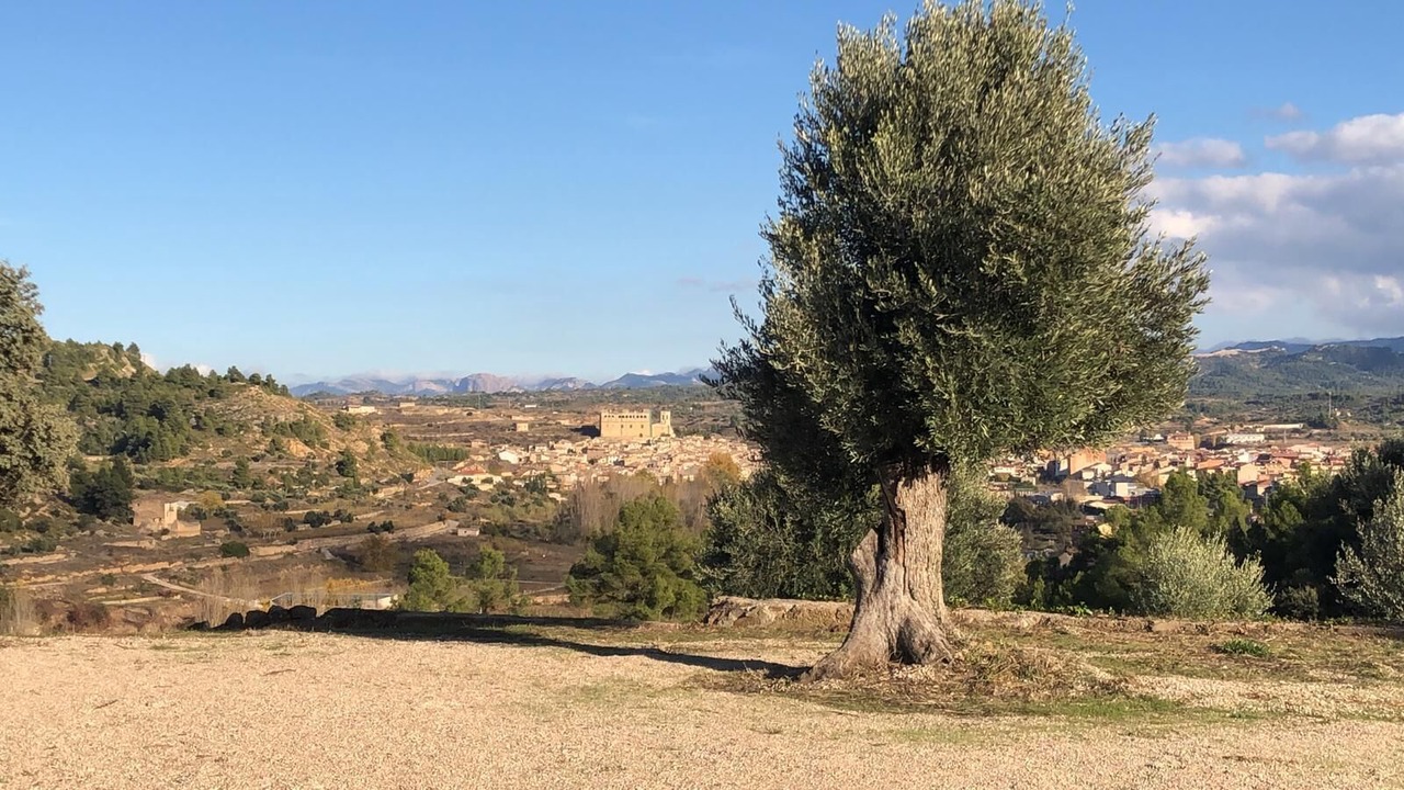 Photo of Others in Valderrobres