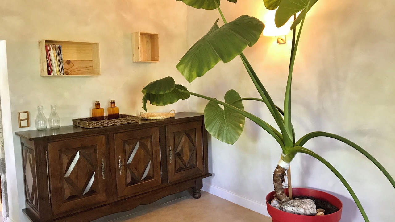 Photo of Others in Lusignan-Petit