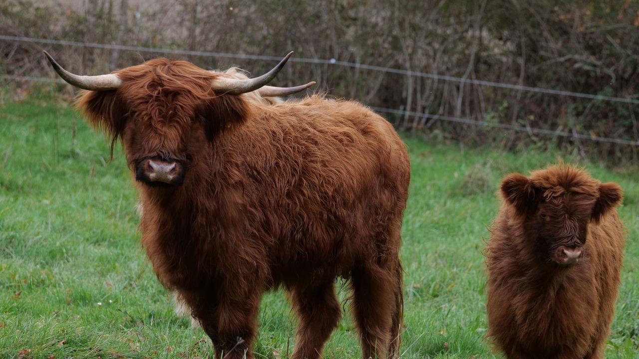 Photo of Others in Lusignan-Petit