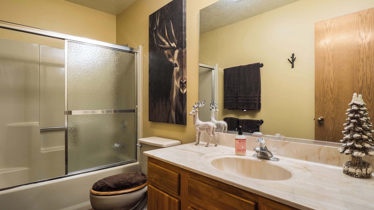 Photo of Bathroom in Angel Fire