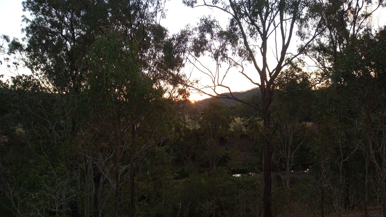 Photo of Others in Colinton